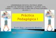 Práctica Pedagógica I.ppt
