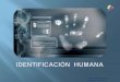 3   identificación  humana