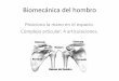 Biomecanica blog