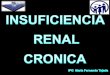 Insuficiencia renal cronica 