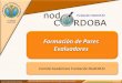 Orientaciones a evaluadores de Semilleros de Investigación RedCOLSI, Nodo Córdoba