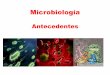 Diapositivas microbiologia