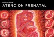 Atencion Prenatal Obstetricia