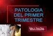 PATOLOGIAS 1er. TRIMESTRE: hiperemesis gravid. emb. ectop. y Enf. Trofoblasto