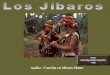 Los Jibaros