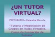 Curso de tutoría virtual  trabajo final