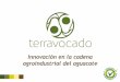 Portafolio de tecnificación de cultivos de aguacate  - Terravocado
