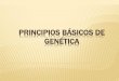 Genética: principios básicos para la enseñanza secundaria