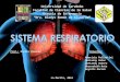 Sistema respiratorio (2) (1)