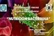 Nutricion bacteriana