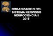 La neurociencia - La introducción