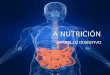 A nutrición  dixestivo e repiratorio
