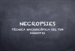 Necropsies. Macropatologia del tub digestiu