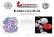 Eritrocito, hemoglobina, metabolismo hierro y eritropoyetina