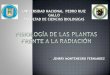 Fisiología de las plantas frente a la radiación( para expo)
