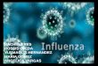 Influenza ah1 n1