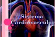 Sistema cardiovascular y linfático