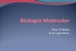 Dogma centra de la biología molecular