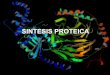 Sintesis Proteica