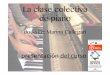 La clase colectiva de piano (masterclass 2015, Erasmus plus)