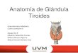 Anatomia de glandula tiroides