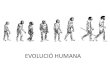 Evolució humana