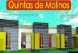 Qtas. de Molinos