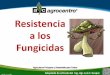 Resistencia a fungicidas
