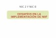 238366490 nic-2-y-nic-8-implementacion-de-niif-20120927 (1)