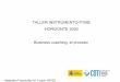 Taller Instrumento PYME Horizonte2020. Business coaching, el proceso