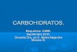 Carbohidratos y lipidos
