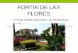 Veracruz , Fortin de las flores