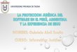 La protección jurídica del software en el perú, argentina y la experiencia de ee.uu