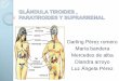 Tiroides paratiriodes y suprarrenal