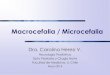 Macrocefalia y microcefalia