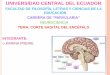 Corte sagital del encefalo (1)