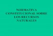 Normativa constitucional sobre los recursos naturales[1]