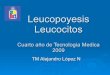 Leucopoyeis Y Leucocitos