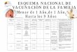 54613612 esquemas-de-vacunacion-venezuela[1]