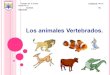 Presentación de animales vertebrados