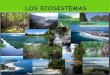 Presentacion sobre ecosistemas
