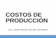 Costos de producción