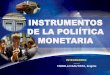 INSTRUMENTOS DE POLÍTICA MOMENTARIA