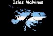 Islas malvinas