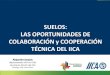 Suelos: las oportunidades de colaboración y cooperación técnica del IICA - Alejandra Sarquis