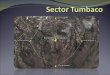 Tics Sector Tumbaco