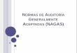 Normas de Auditoria Generalmente Aceptadas (NAGA)