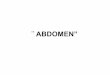Anatomía Abdomen