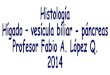 histologia Higado vesicula biliar-pancreas