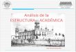 Análisis de la Estructura Académica de la UACh /Chapingo)
